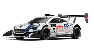 RCZ Gr.B Rally Car
